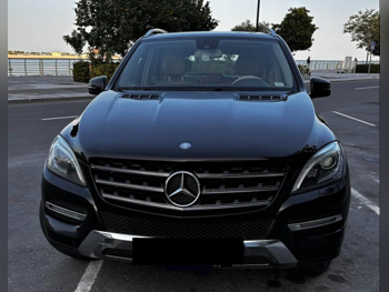 Mercedes-Benz Ml 2014 — QatarSale