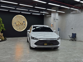 Byd Qin Plus 2025 — QatarSale
