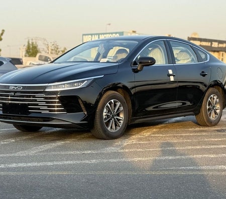 Byd Destroyer 05 2025 — OneClickDrive
