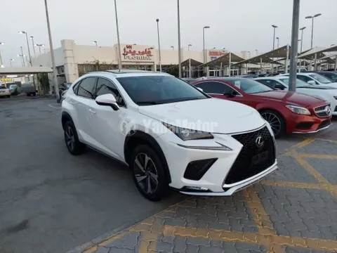 Lexus NX 2020 — YallaMotor